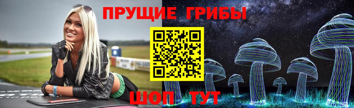Галлюциногенные грибы Psilocybe Кунгур